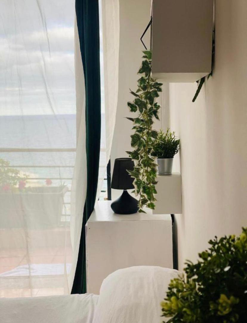 Apartment Wilga - Whole *